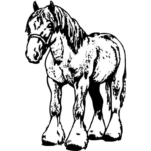 HORSE035 Thumbnail